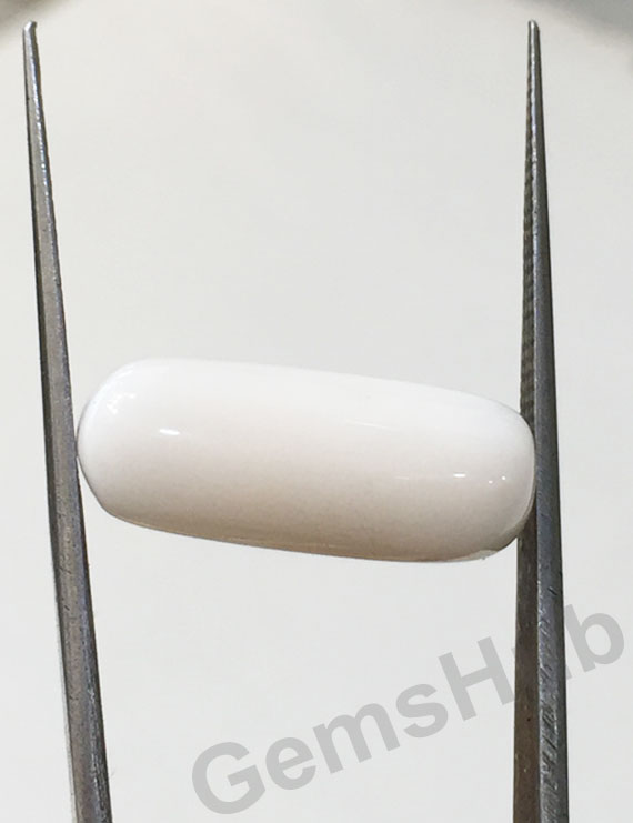 8.04 ct Natural Certified  White Coral/सफ़ेद मूंगा